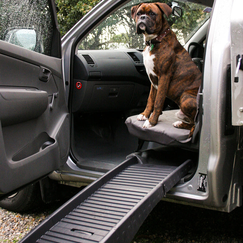 Discover Cheap Dog Ramps Buy Online 0 Delivery Select Items Ember Homewares