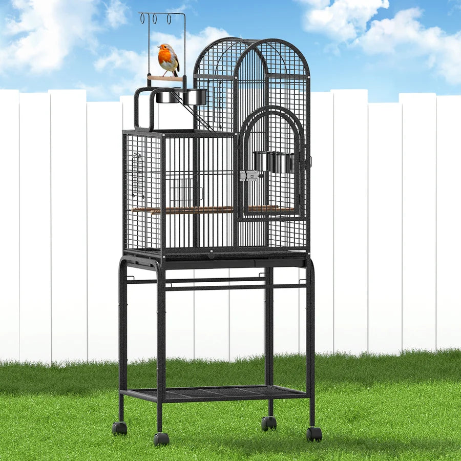Affordable Bird Cages Online preview