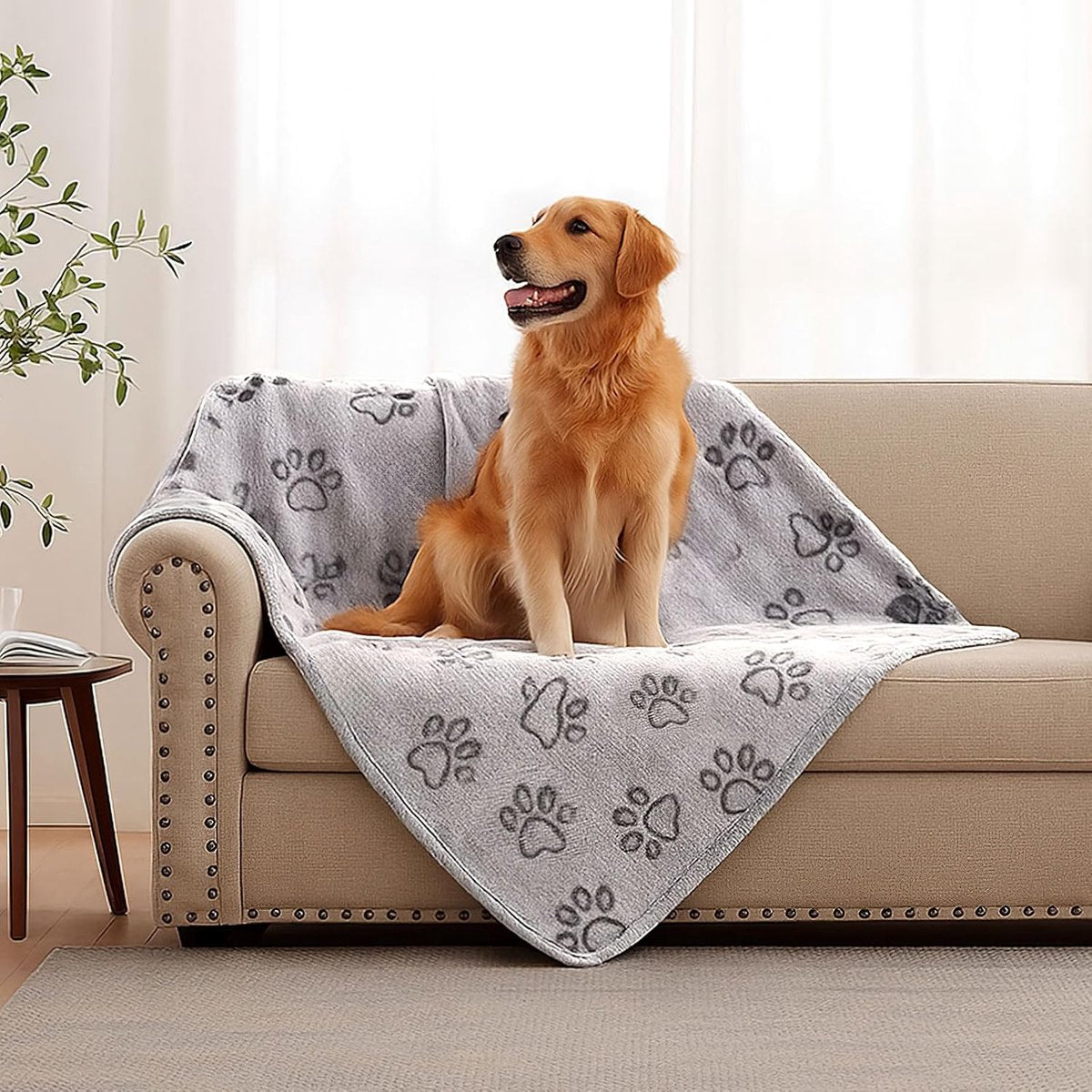 76x104cm Dog blankets for medium-sized dogs, cats, Premium soft dog blankets for small dogs, washable, Puppy blanket, Dog supplies for puppies (grey)