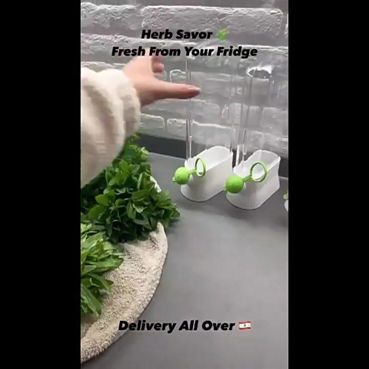 Herb Container - Herbs - Herb Jars - Fresh Keeper - Herb Vanilla Storage Container - BPA-Free - Keep Fresh - Coriander, Asparagus, Parsley and Mint - Free Herb Cutter - 27 Cm - Kitchen Tools - Reusable Fresh Herb Container