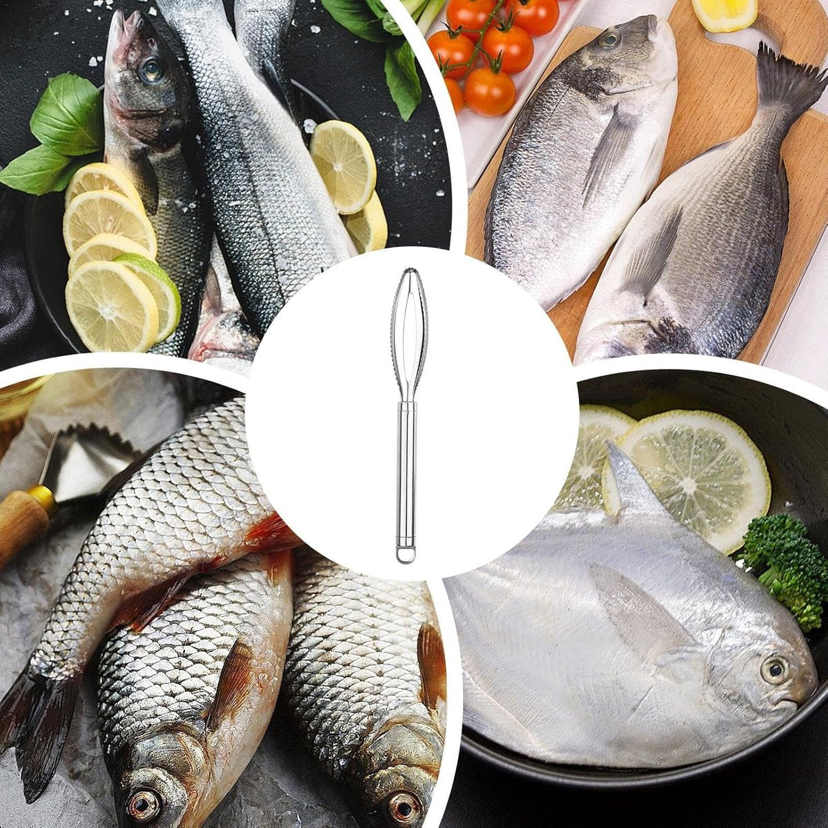 Fish Scraper - 2 Pieces - Fish Scaler Brush - Fish Scale Remover - Scale Scraper - Fish Descaler - Fish Scale Remover - Scraping Removal Tool - Kitchen Utensils - For Cookware, Seafood, Poultry - Silver - Stainless Steel