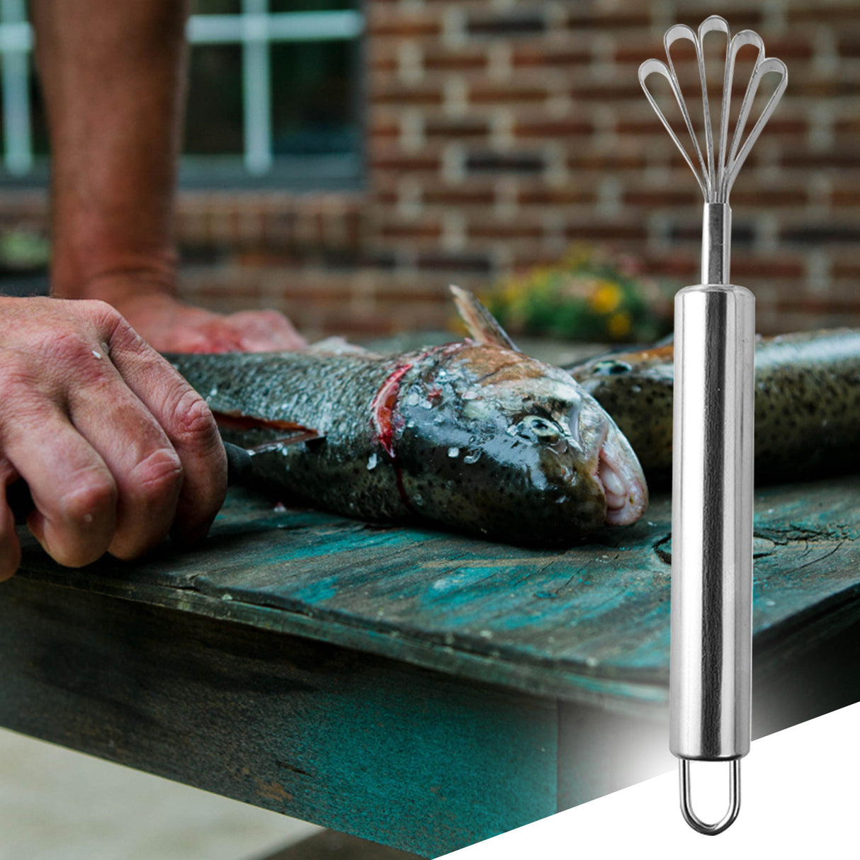 Stainless Steel Coconut Scraper, Manual Multi-Purpose Grater for Fruits, Vegetables, Fish Scales, Kitchen Tool with Suction Base & Safety Guard 7.67" x 1.37" Silver