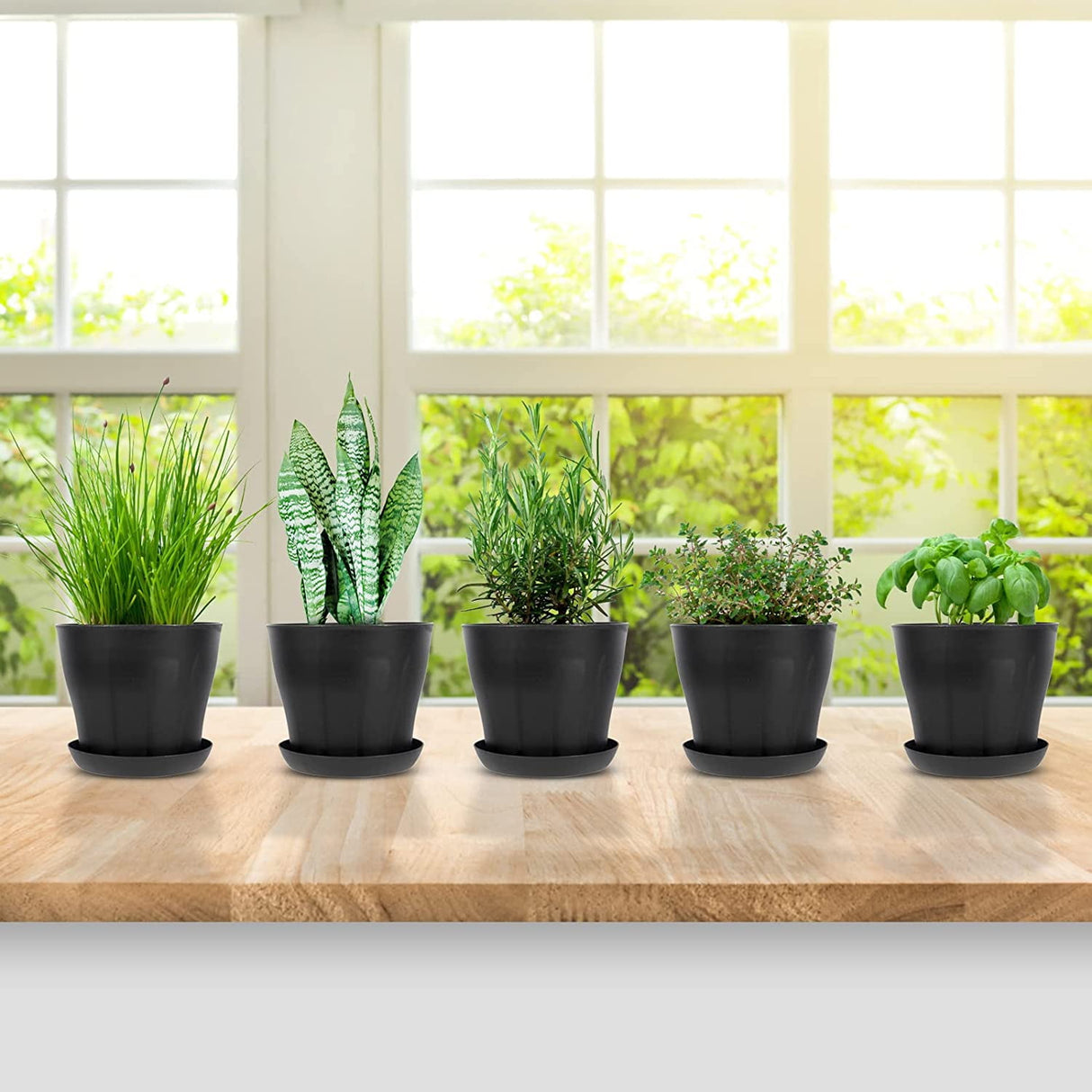 Tutuviw 4 inch Plant Pots,Plastic Planters with Drainage Holes and Saucers for Flowers Plants, Succulents,Seed Starting Pots, Black,8Pack 4inch-Black