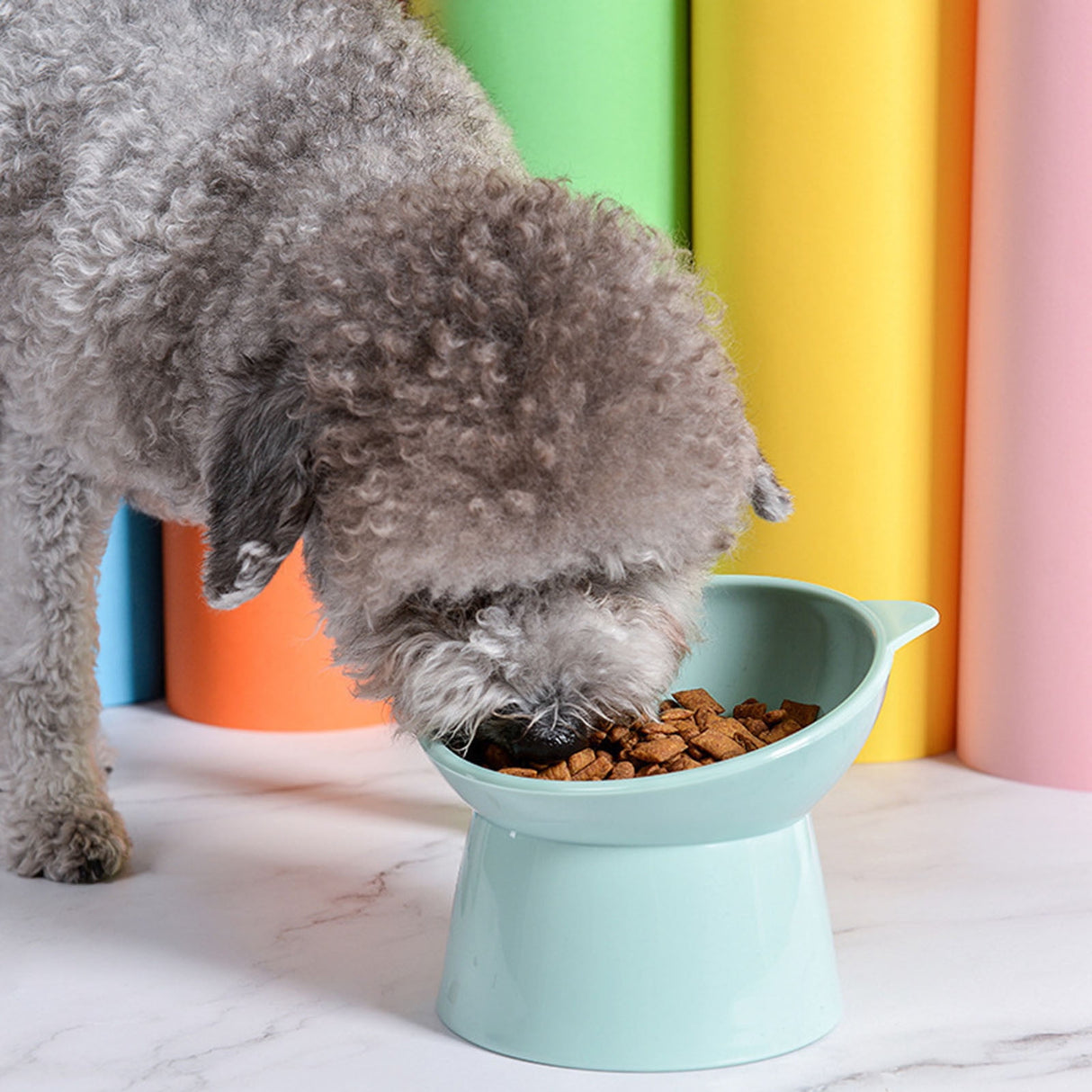 Darzheoy Raised Cat Food Bowl 15 Degrees Elevated Cat Bowls Anti Vomiting Tilted Raised Cat Food Bowl Plastic Slanted Stand Bowls for Pet Feeder Green