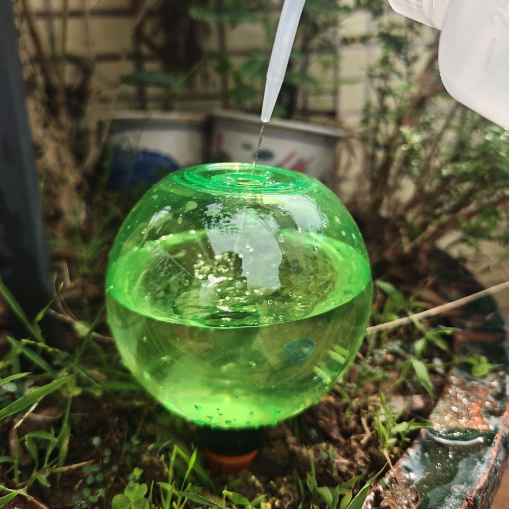 3PCS Plant Watering Globes, 500ml Self Watering Planter Insert Green