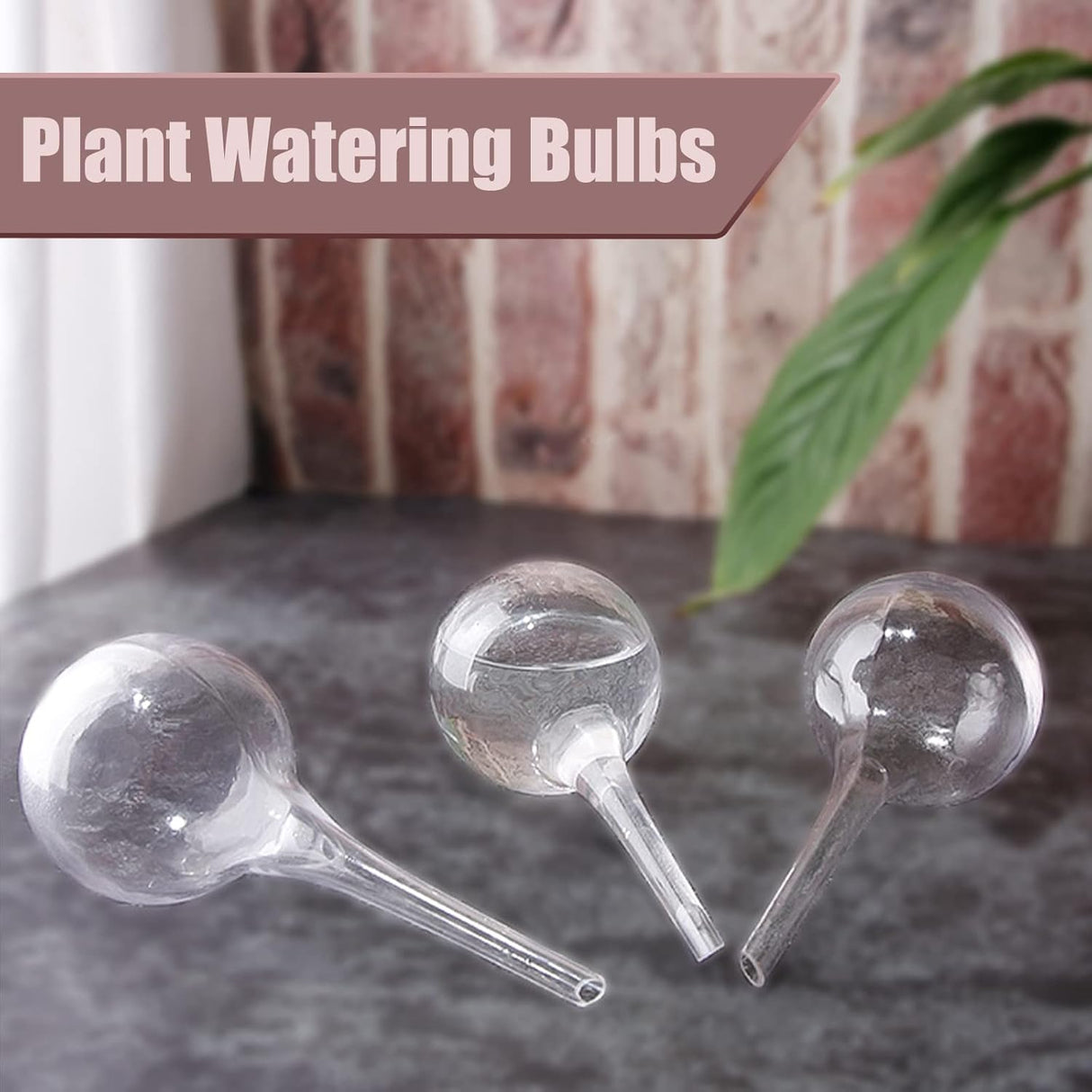 8 Pack Self Watering Balls Transparent Automatic Plant Waterer for Indoor Outdoor Flower Pots Plastic Self Watering Device