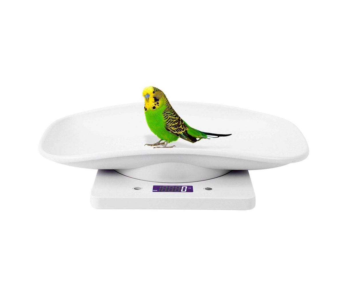 10kg/1g Digital Small Pet Weight Scale for Cats Dogs Measure Tool Electronic Kitchen Scale