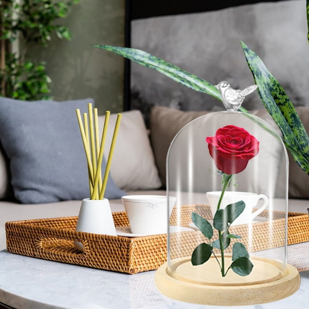 Glass Cloche Dome with Rustic Wooden Base, Bell Jar Display for Plants, Fairy Lights, Table Decor, Terrarium, Cake Cover, Wedding Centerpiece, Home Decor, Display Case