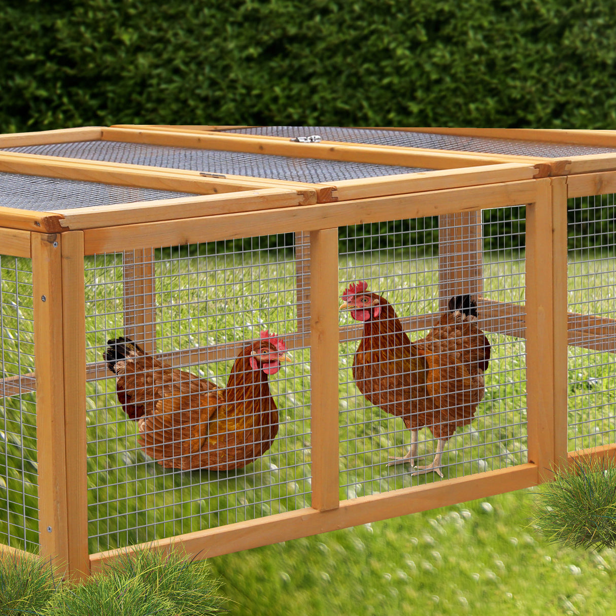 Furtastic Rectangular Wooden Chicken Coop & Rabbit Hutch