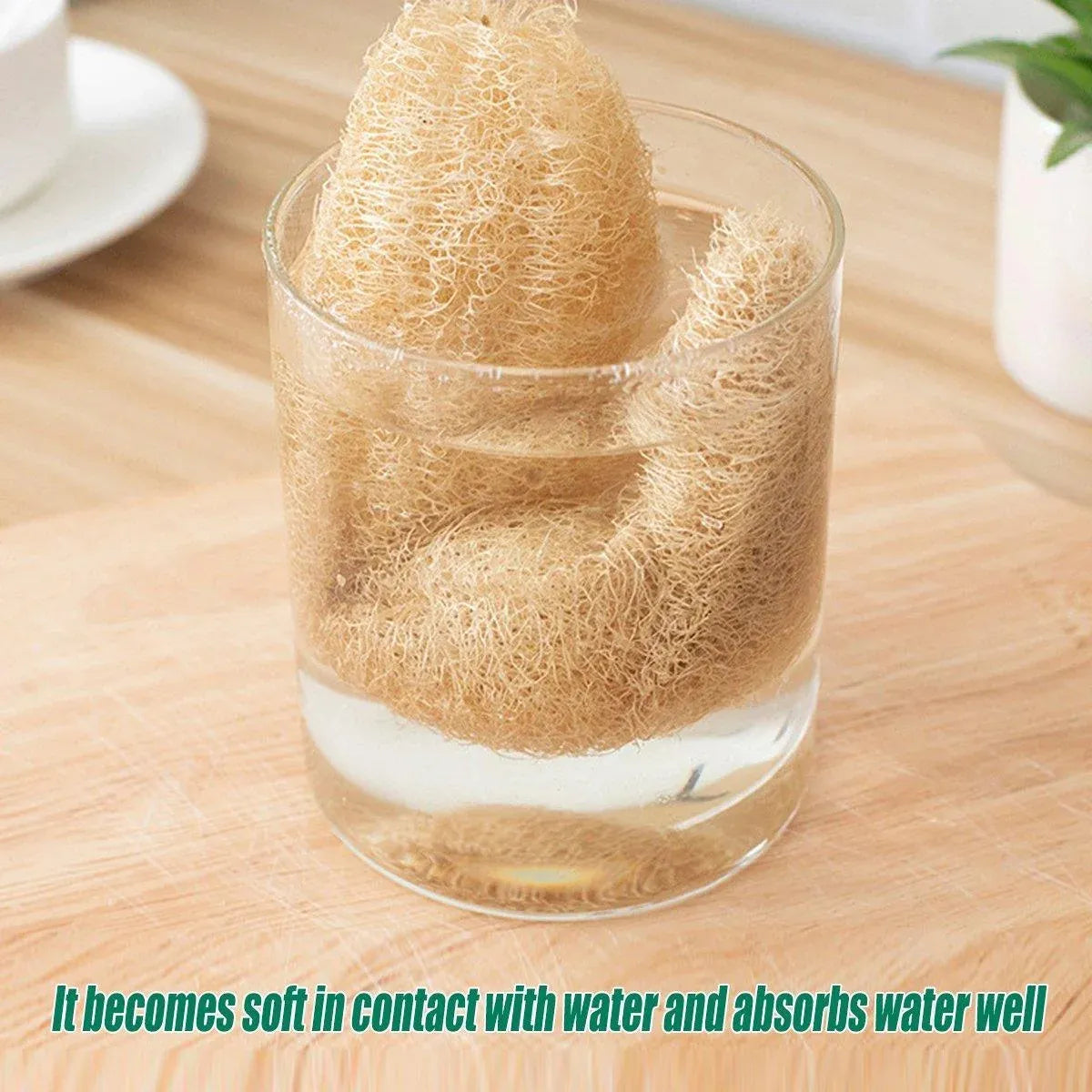 Natural Loofah Sponge Kitchen Scrubber for Dishwashing Pot Cleaning 5 Pack