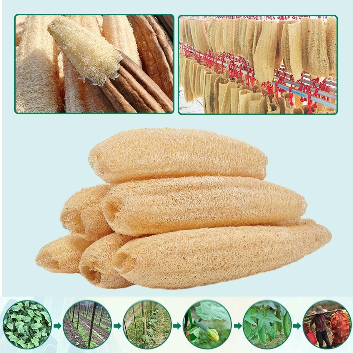Natural Loofah Sponge Kitchen Scrubber for Dishwashing Pot Cleaning 5 Pack