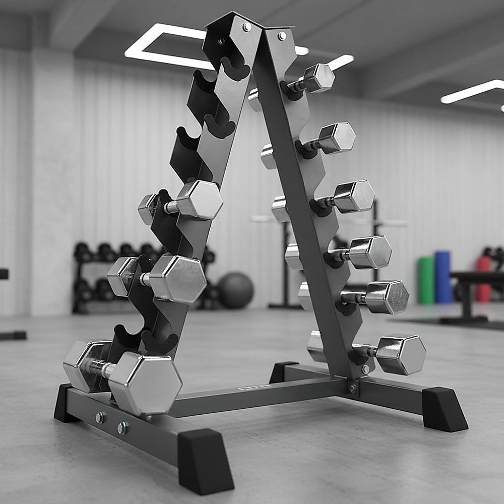 Steel Vertical Dumbbell Rack Weight Stand