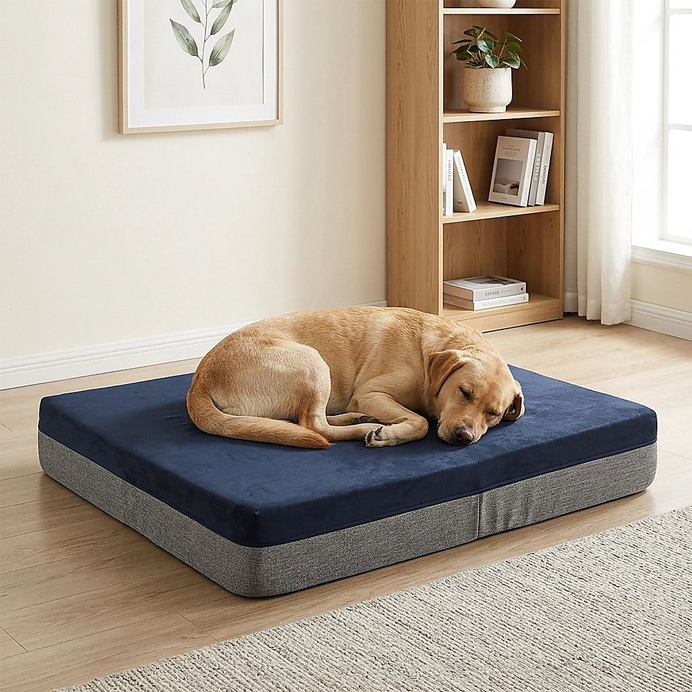 Memory Foam Dog Bed 15CM Thick Large Orthopedic Dog Pet Beds Waterproof Big