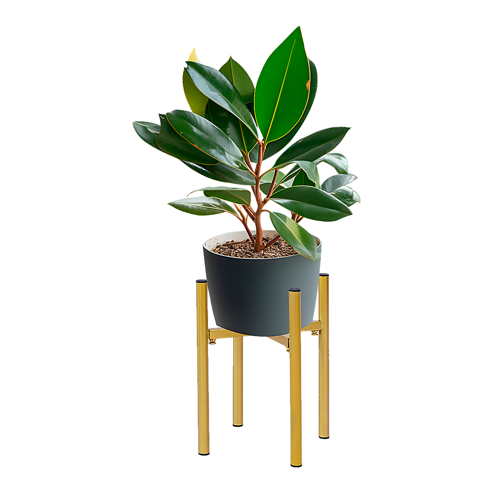 Metal Plant Stand Adjustable Indoor