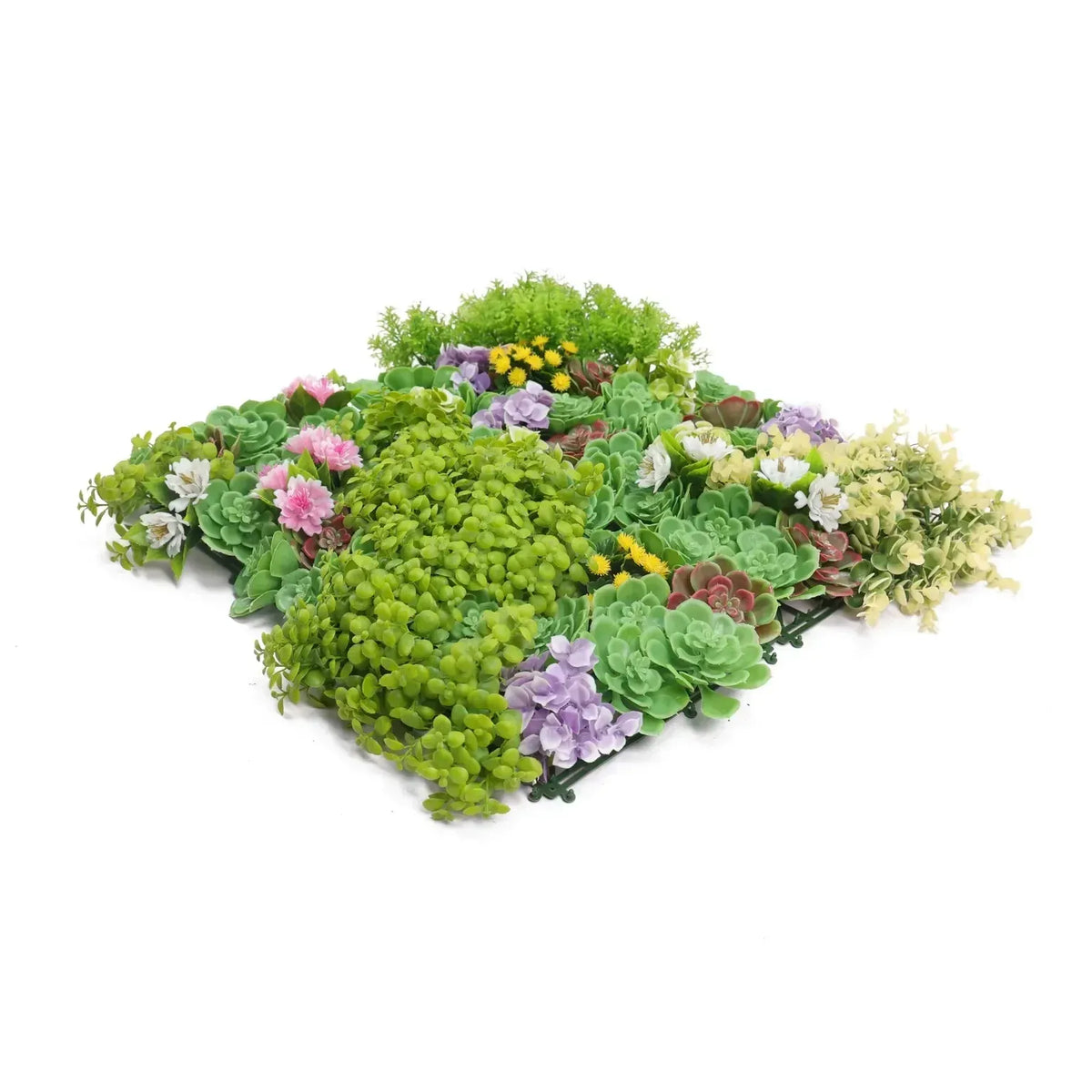 Artificial Dense Succulent Green Wall / Vertical Garden Panel 50cm x 50cm UV Resistant
