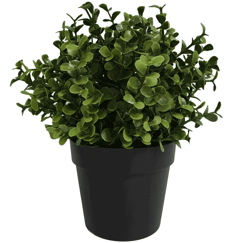 Small Potted Artificial Buxus Plant UV Resistant 20cm