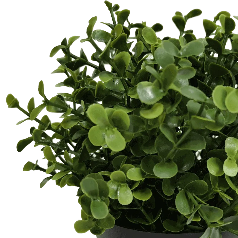 Small Potted Artificial Buxus Plant UV Resistant 20cm