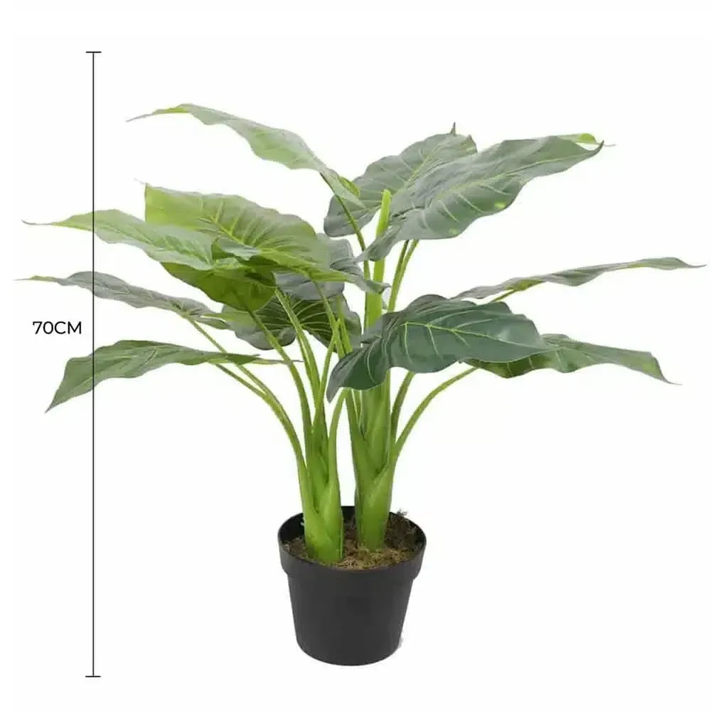 Artificial Potted Taro Plant / Elephant Ear 70cm