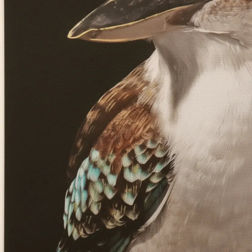 Mystery Kookaburra Artwork Framed w Glass Front 120cm