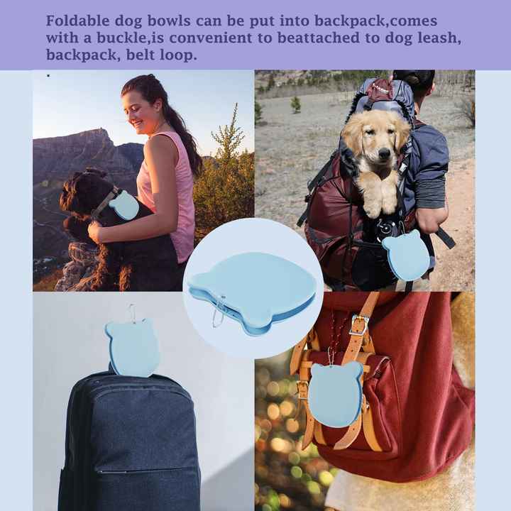 Purple Portable Collapsible Pet Bowl Set - Food-Grade Silicone Double Bowl for Dogs & Cats, Anti-Slip & Easy to Clean