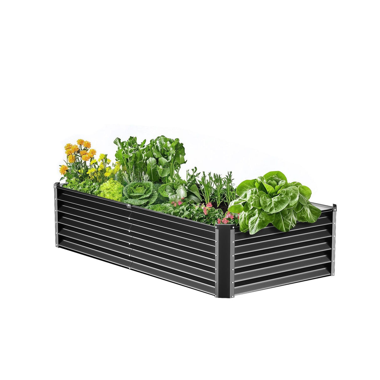 VEVOR Metal Raised Garden Bed, 6 x 3 x 1.5 ft Outdoor Galvanized Planter Box, with Open Bottom, Large Planter Raised Bed for Gardening Vegetables, Flowers, Herbs, and Succulent Plants, Dark Gray