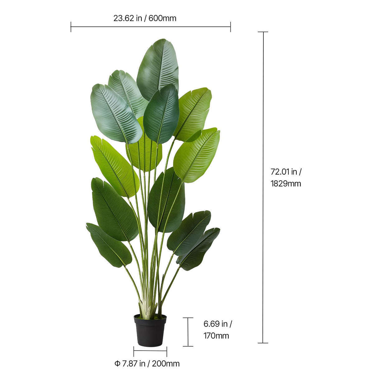 Artificial Bird of Paradise 1829 mm Tall, Fake Tropical Plants with with 13 Trunks & White Pot, Faux Floor Silk Tree, Large Trees for Home Office Living Room Decor House Warming, Indoor Outdoor
