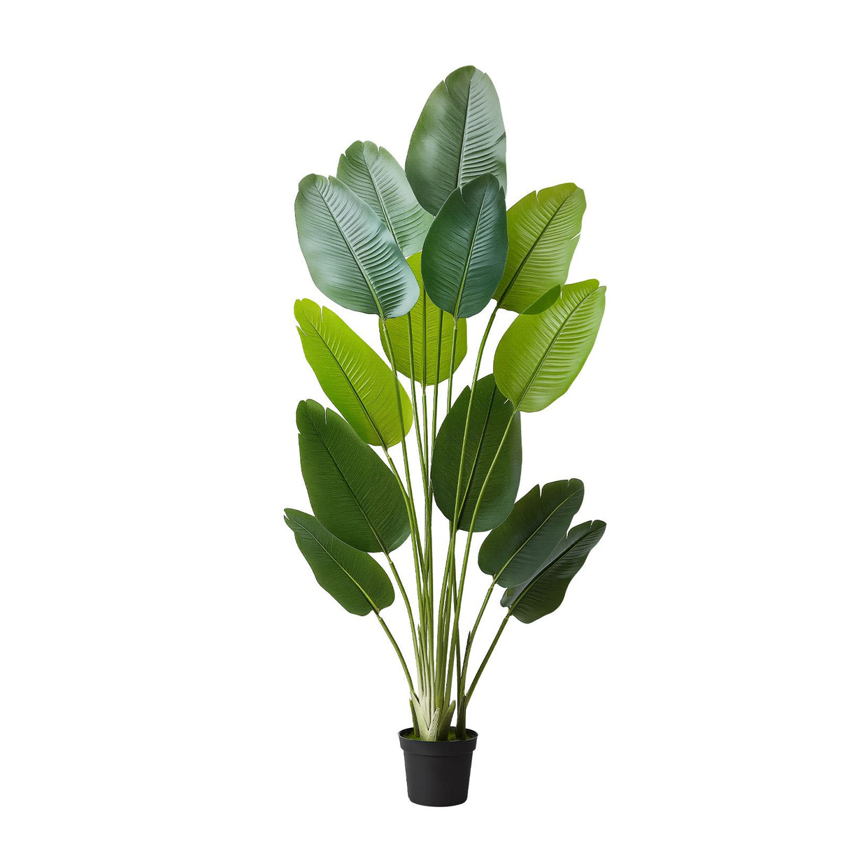 Artificial Bird of Paradise 1829 mm Tall, Fake Tropical Plants with with 13 Trunks & White Pot, Faux Floor Silk Tree, Large Trees for Home Office Living Room Decor House Warming, Indoor Outdoor