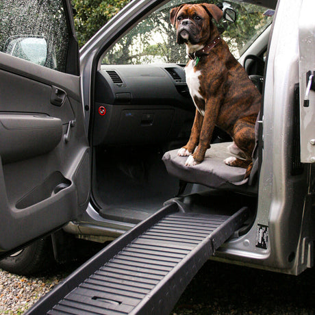 Buy cheap dog ramps online