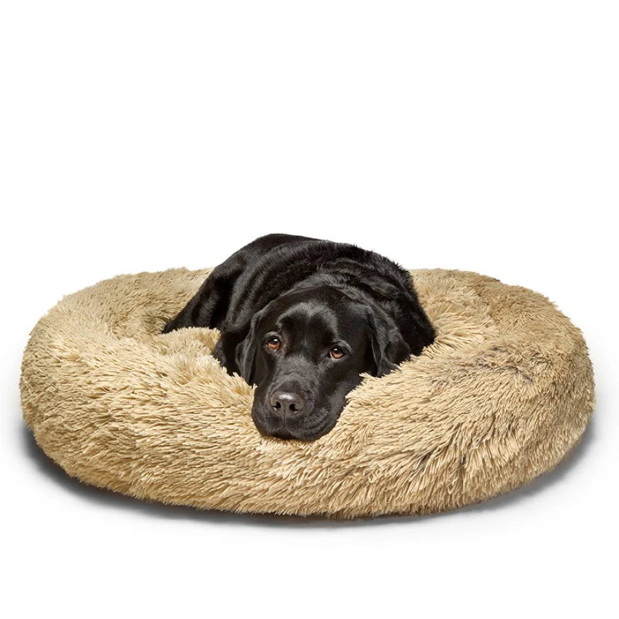 Puppy beds online best sale