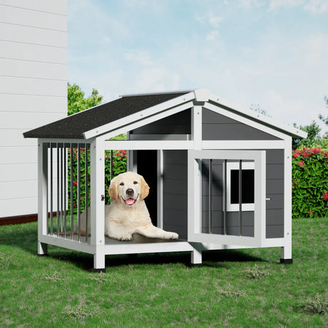 Buy cheap dog kennels online