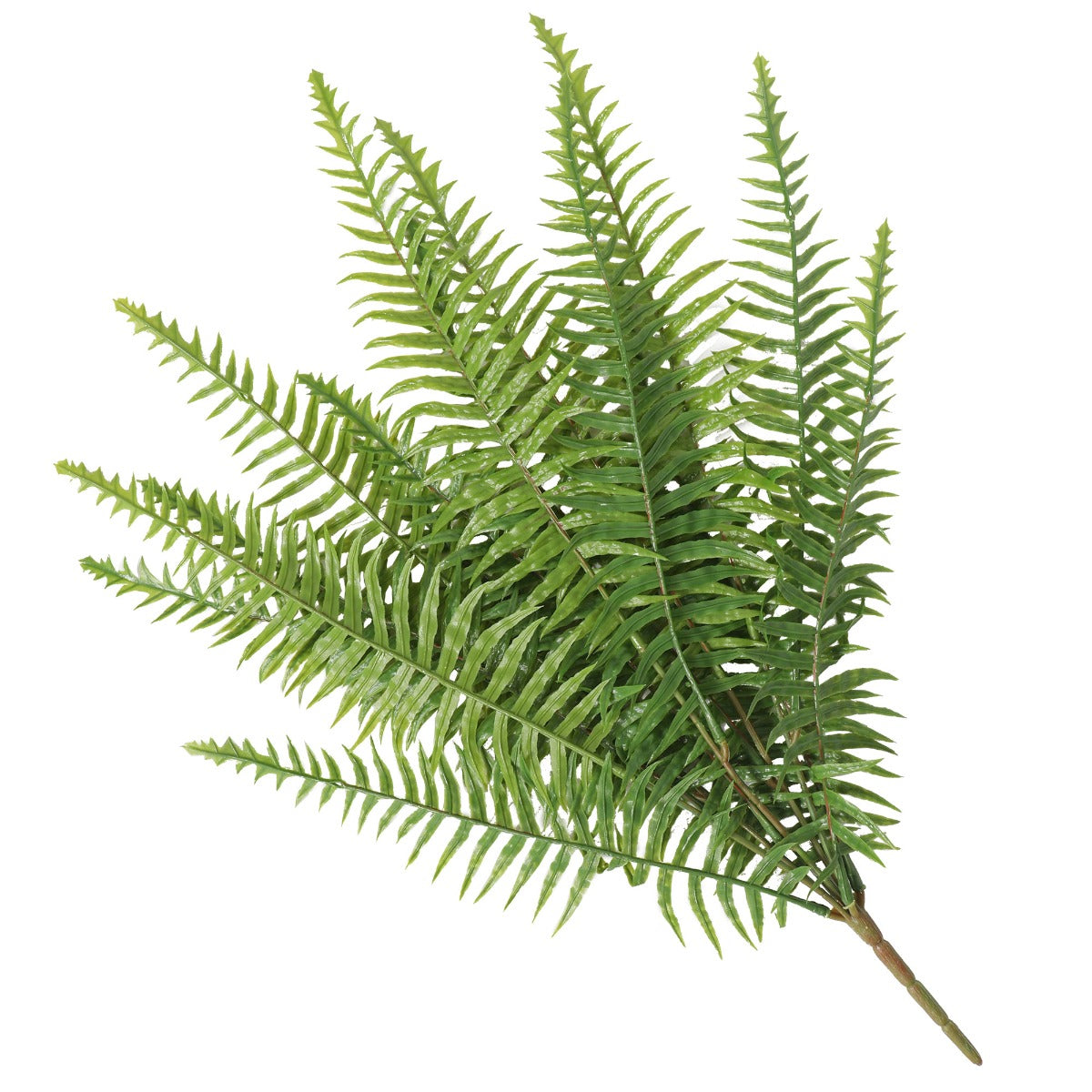 Artificial Fern (Lady Fern) 40cm UV Resistant