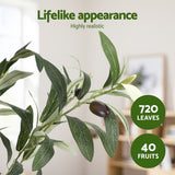 Artiss 180cm Artificial Olive Tree Faux Trees Indoor Decor Artificial Plants Lifelike Plant 1.8M