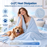 Giselle Cooling Blanket 240cm x 210cm King Summer Quilt Sleepers Double Sided