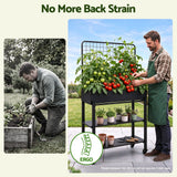 Green Fingers Mobile Raised Garden Bed with Trellis & Shelves Dark Grey