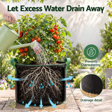 Green Fingers 15 Gallon Grow Bags 300gsm thick Aeration Fabric Pots 10 Pack
