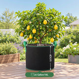 Green Fingers 20 Gallon Grow Bags 300gsm thick Aeration Fabric Pots 10 Pack