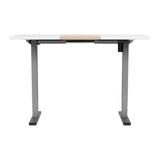 Artiss Standing Desk Electric Sit Stand Desks 120CM