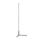 RGB Floor Lamp