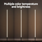 RGB Floor Lamp