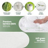 20cm Giselle Mattress Single Green Tea Mattresses