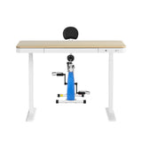 Artiss Under Desk Folding X-Bike with 120cm Automatic Standing Desk Magnetic Resistance Oak