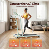 Everfit 3 in 1 Walking Pad Treadmill 12% Incline Foldable Under Desk Treadmills for Home 38cm Green