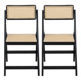 Artiss 2x Dining Chairs Wooden Rattan Foldable Black