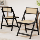 Artiss 2x Dining Chairs Wooden Rattan Foldable Black