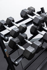 4 Pairs Hex Dumbbells PLUS Dumbbell Rack (100 kg | 5kg-20kg | 1.1m 3-tier Rack)