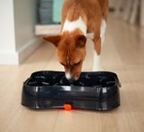 4-in-1 Slow Feeder Dog Bowl - Dark Grey Bowl with Blue Lickmat