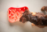 4-in-1 Slow Feeder Dog Bowl - Warm Ocean Red Bowl with Teal Lickmat