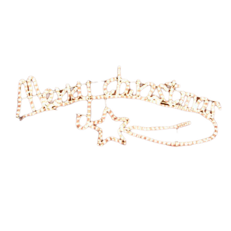 Samland Animated Merry Christmas Motif Rope Light W/ Controller