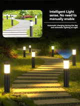 solar lawn lights, stainless steel outdoor lights, 3-LED garden lights, waterproof outdoor lights, modern outdoor lighting, cylindrical solar lights, Australian outdoor lights - Black warm light - Size 2PCS