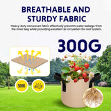 10-Pack 1-Gallon Fabric Grow Bags – Heavy-Duty Breathable Non-Woven Plant Pots with Handles for Vegetables, Herbs, Flowers (Camel)